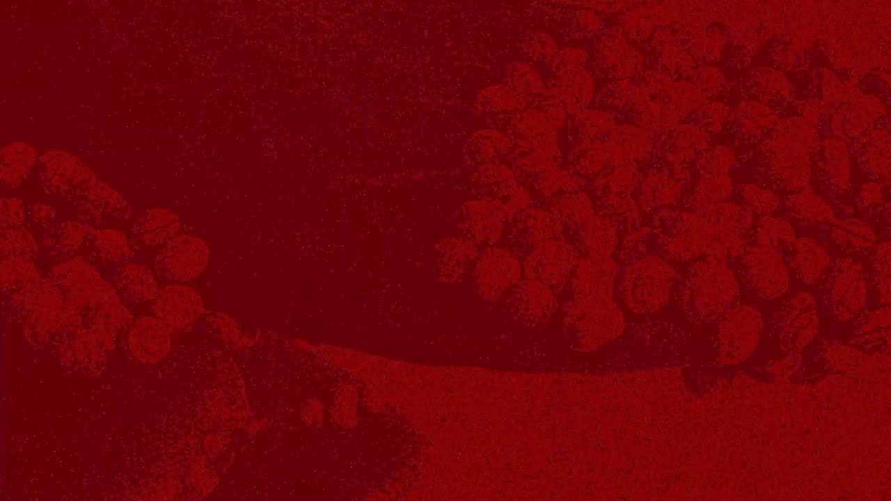 Marte, edu edu & Álex Davies