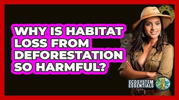Why Is Habitat Loss From Deforestation So Harmful? - Ecosystem Essentials