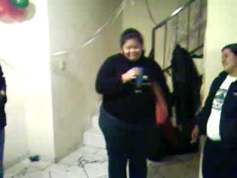 Gordita DSPCHDA II