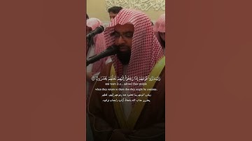 " وَمَا كَانَ ٱلۡمُؤۡمِنُونَ لِيَنفِرُواْ كَآفَّةٗۚ "ما تيسر من سورة التوبة #ناصر_القطامي