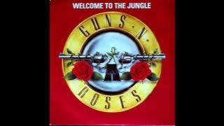 Guns N  Roses  Welcome To The Jungle  Instrumental