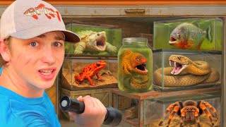 Löysin hengenvaarallisia eläimiä hylätystä varastosta…