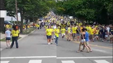 Video Shake Removal from a Digital Camera.