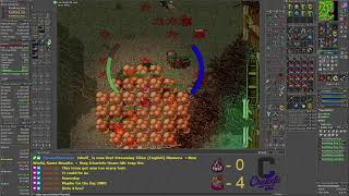 Tibia Rootthing Hunt 2-23-26 VOD