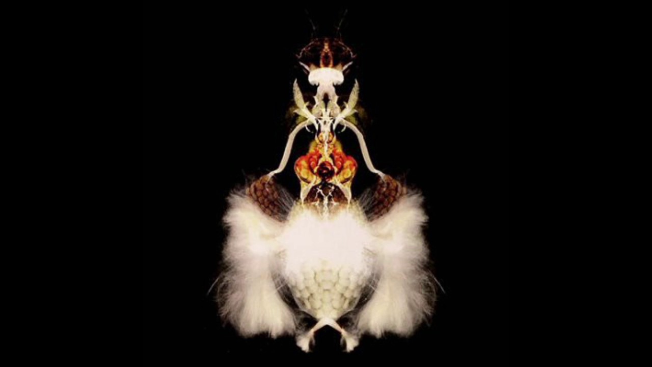 2001 - BOLA - (SKALD007) FYUTI - vertiphon