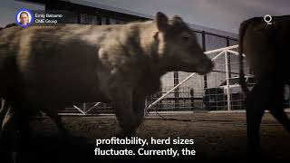 The US Cattle Cycle Is Evolving | Presented by CME Group