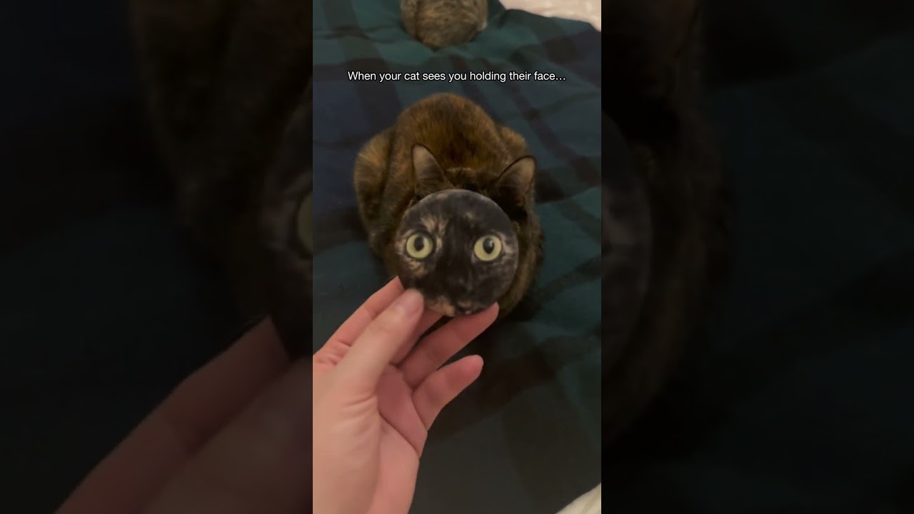 He’s got two faces now!!?🤣😹