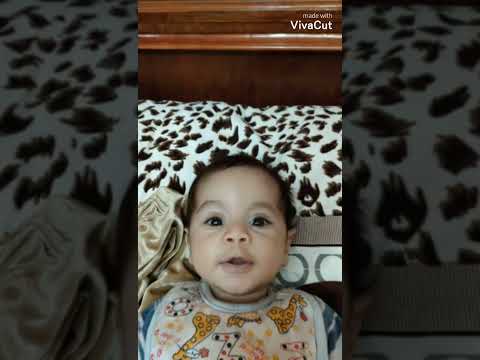 شوف الابداع