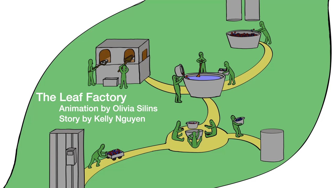The Leaf Factory Animation