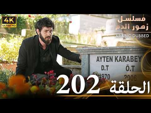 الحلقة 202 مسلسل زهور الدم مدبلج بالعربية Kan Çiçekleri جودة 4K