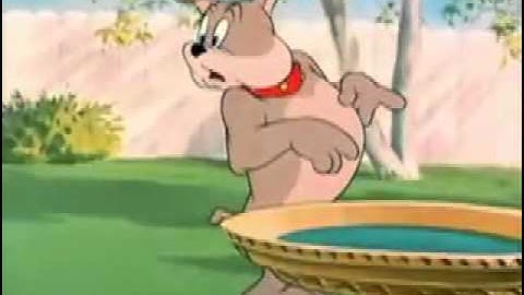 tom brooks moving image 2(video & audio.mov