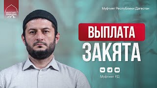 Закят: кто и кому должен его выплачивать?