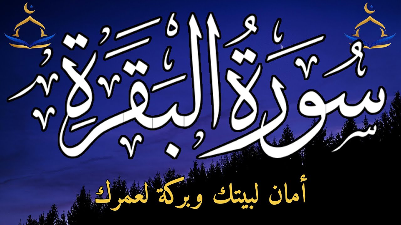 سورة البقرة صباحًا لنزول البركة وسعة الرزق وطمأنينة القلب وبداية يوم مليء بالسكينة 🌅📖✨