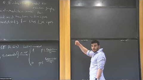 Linial--Meshulam Complexes - Michael Chapman