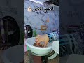لما تتعبي يومين وزوجك هو اللي يدخل المطبخ هو وأولادك دي بتكون النتيجة اكسبلور يوميات طبخ مطبخ