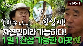 [자연인] 605-1 온 몸의 피로가 풀리는 이 맛.. 1일 1산삼이 가능한 이곳!!