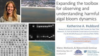 W3 seminar: Expanding the toolbox for observing and understanding harmful algal bloom dynamics