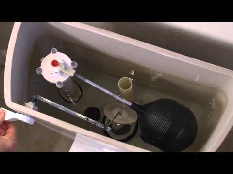 How to Replace Your Toilet Flapper | Tips from Mr. Rooter Plumbing