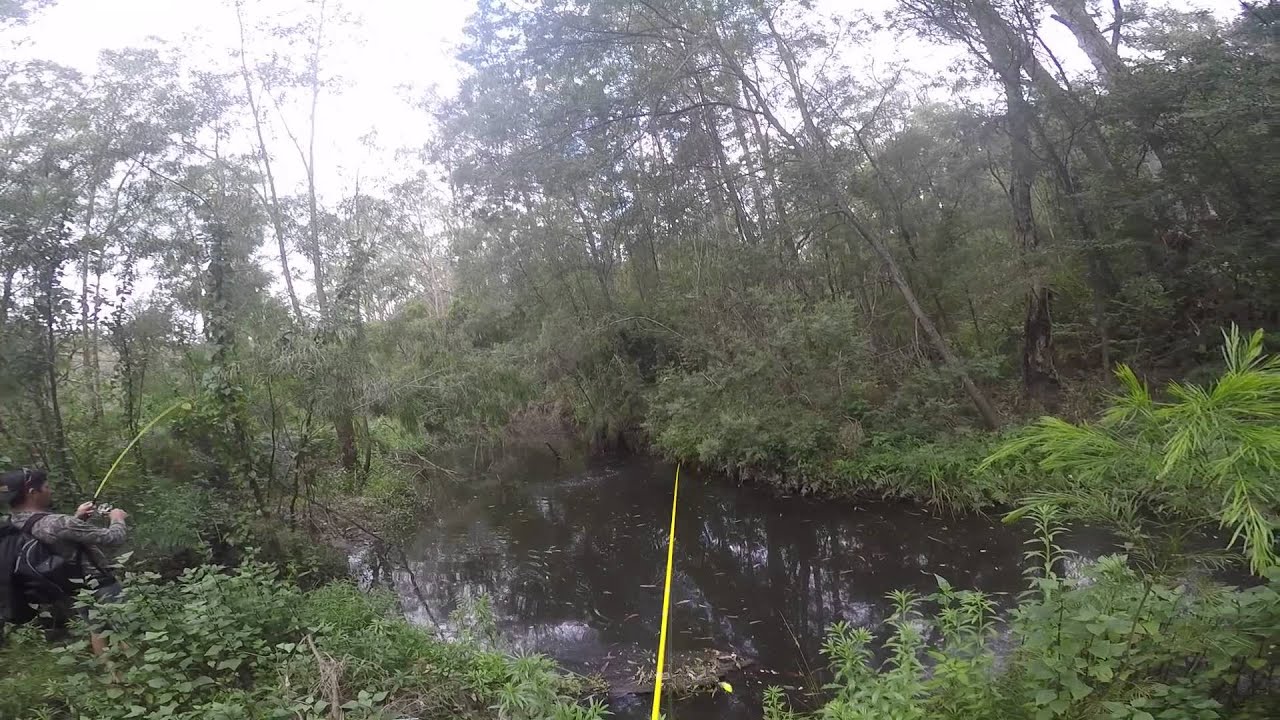 Windsor Bait and Tackle Tim Burner on how to bow and arrow cast YouTube