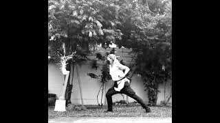 居合術 Iaijutsu quick draw cut practice