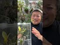 コレクションボックスの飾り方