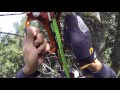 Tree Climbing DdRT House Sleeve Test GoPro ハウスリーブ