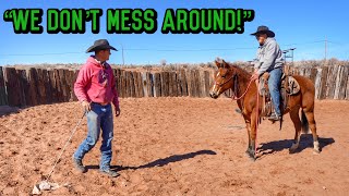 STARTING 6 BRONCS IN 1 DAY!! | DIBS' BABY