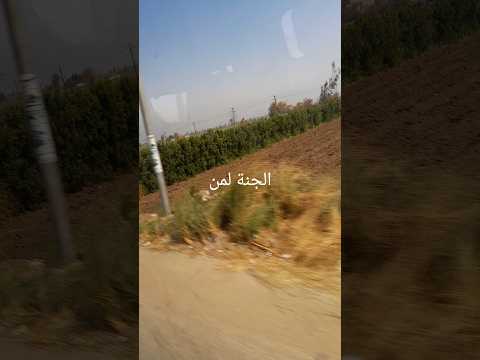 الجنة لمن