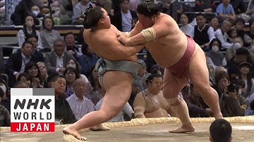 GRAND SUMO: Day 2 of the November 2025 Tournament - GRAND SUMO Highlights