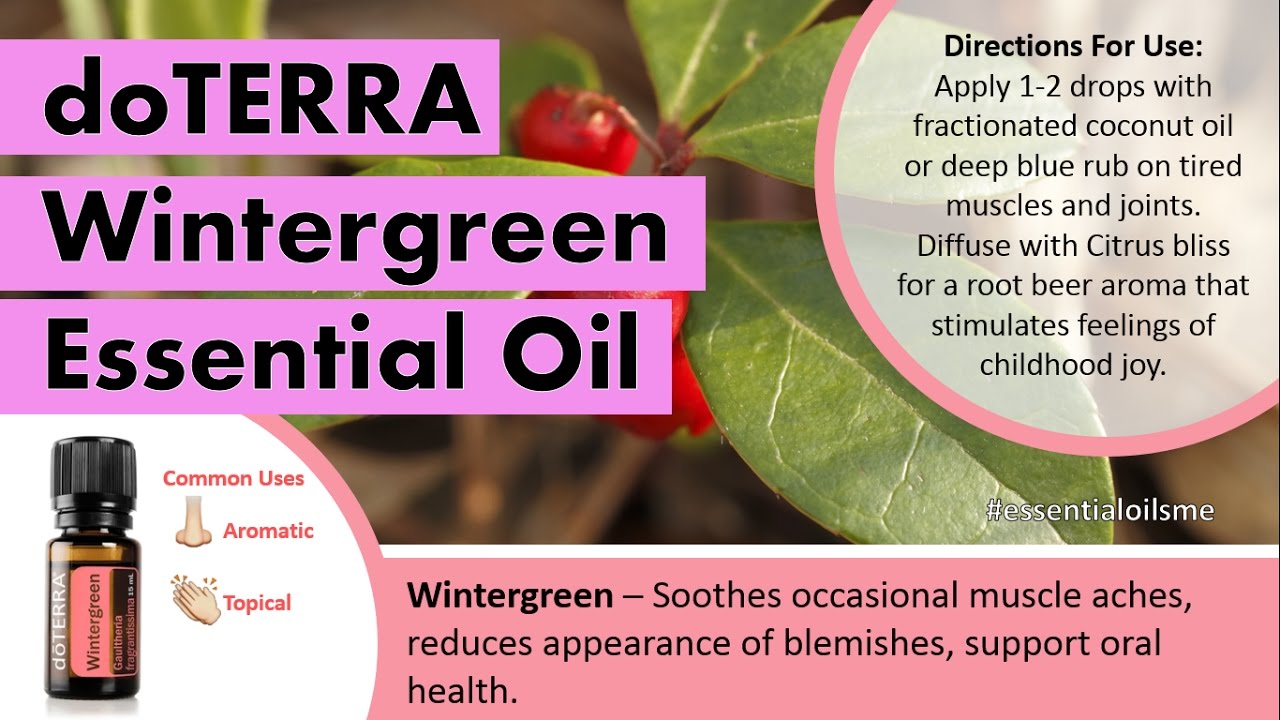 fascinating แปล  New 2022  Fascinating doTERRA Wintergreen Essential Oil Uses