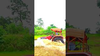 cameraman joldi focus Karo #tractor #trendingshorts #automobile #trending #farmer #trendingvideo