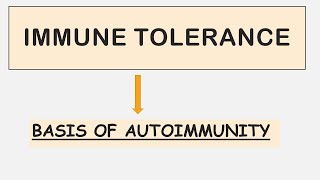Immune Tolerance - Recent Update - Autoimmunity