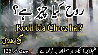 What Is the Soul? A Question Answered by Revelation | Sahih Bukhari Hadith No 125 Explanation 