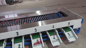radish sorting machine
