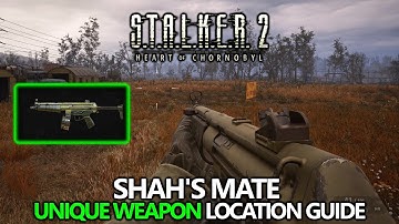 STALKER 2 - Shah