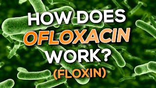 Ofloxacin (Floxin) Nursing Drug Card (Simplified) - Pharmacology