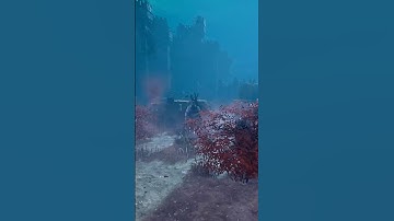 Not All Sables But Always a Sable #dbd #dbdshorts #deadbydaylight #dbdclips #dbdmemes #shorts