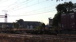 5073レ EF210-166+コキ24B