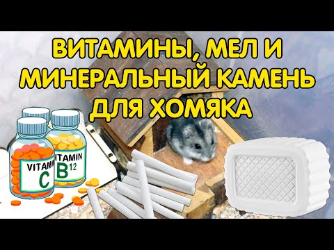 Видео: Дефицит витамина Е у хомяков