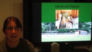Zoo in Forest Park Internship Presentation Part 1