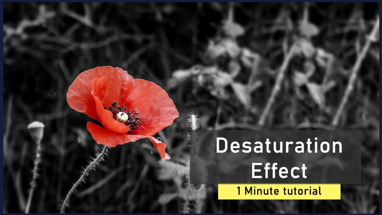 Desaturation Effect / Photoshop / Tips \U0026 Tricks 2021