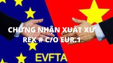 Khác Biệt Giữa Chứng Nhận Xuất Xứ REX  và  C/O EUR.1 Theo Hiệp Định EVFTA