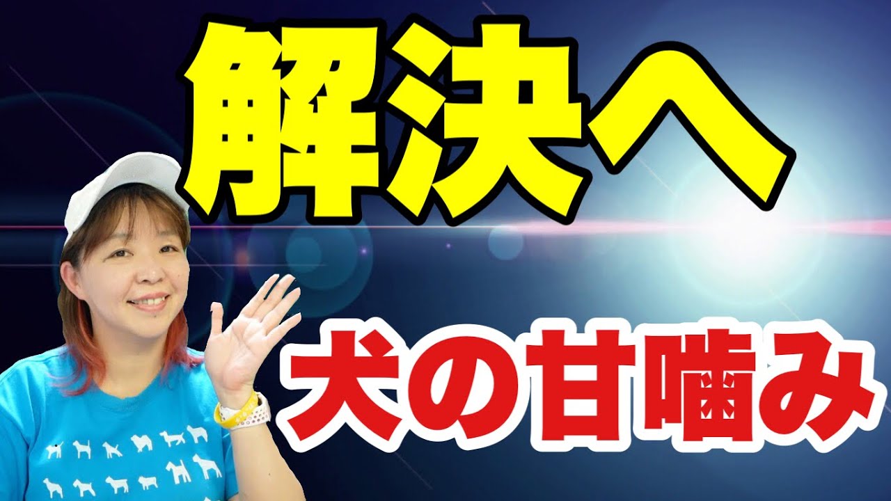Как отучить собаку кусаться: какой метод дрессировки подойдет именно вам и вашей собаке? Статья д...