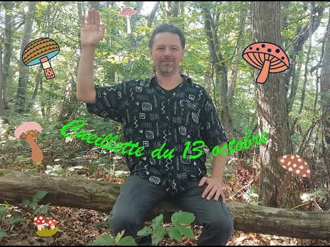 Vidéo YouTube