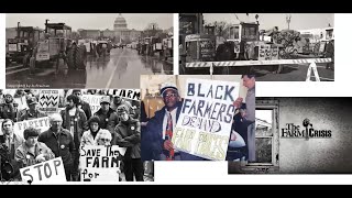 Disparity to Parity: How Parity Differed for BIPOC and White Farmers