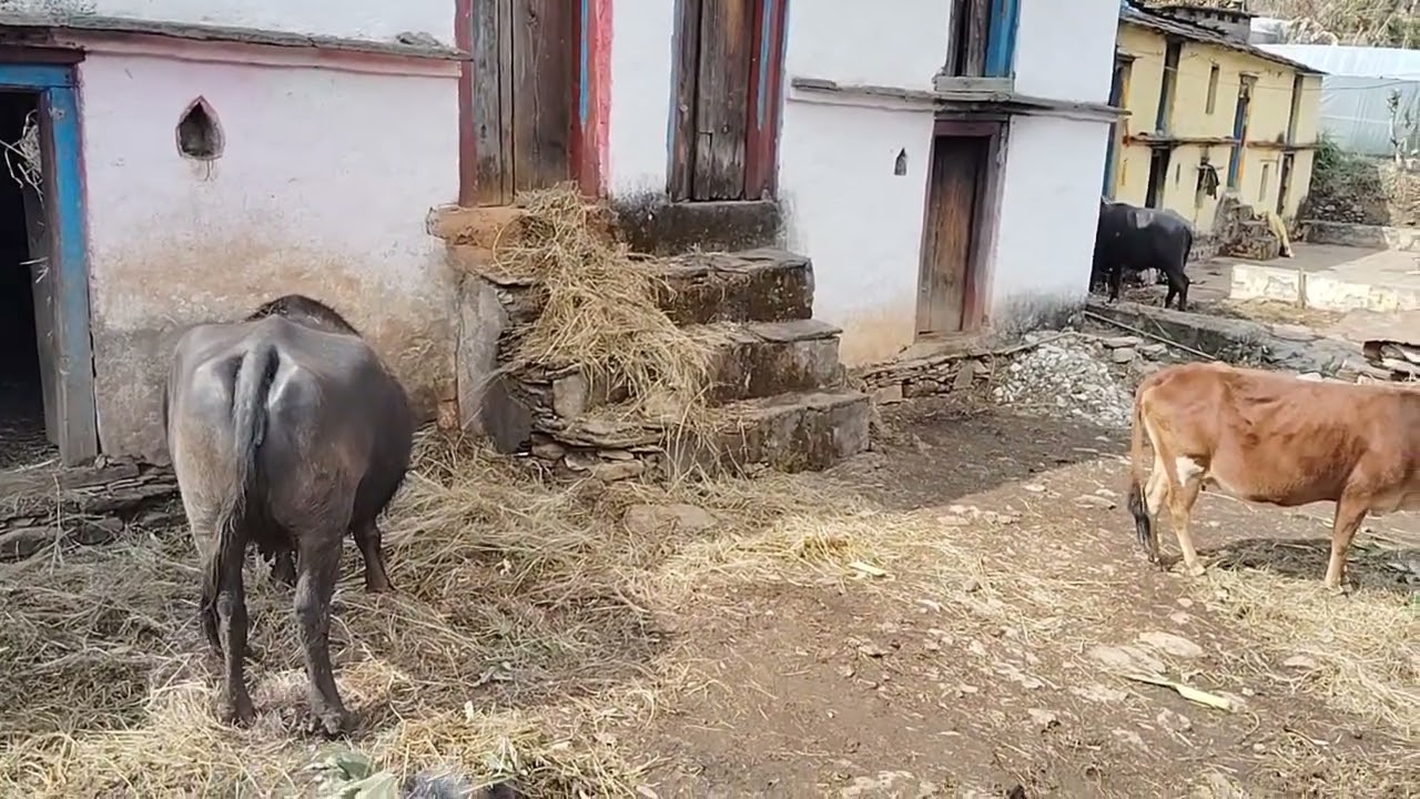 तूफान हुआ आज बहुत ज्यादा 🤗