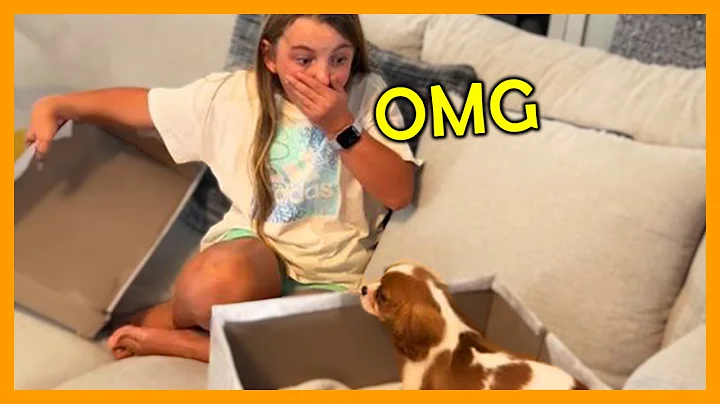New Puppy Surprise Compilation | Touching Family Surprise Scenes