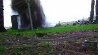 explosion tree stump