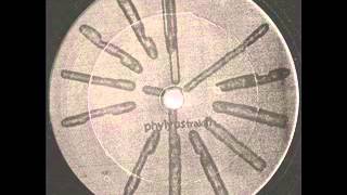 Basic Channel - Phylyps Trak II