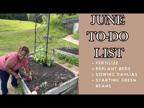 ✅ I Checked 5 Things Off My June Garden To-Do List Today